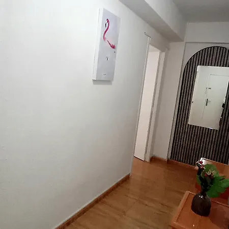 Lägenhet Comodo Greenroom